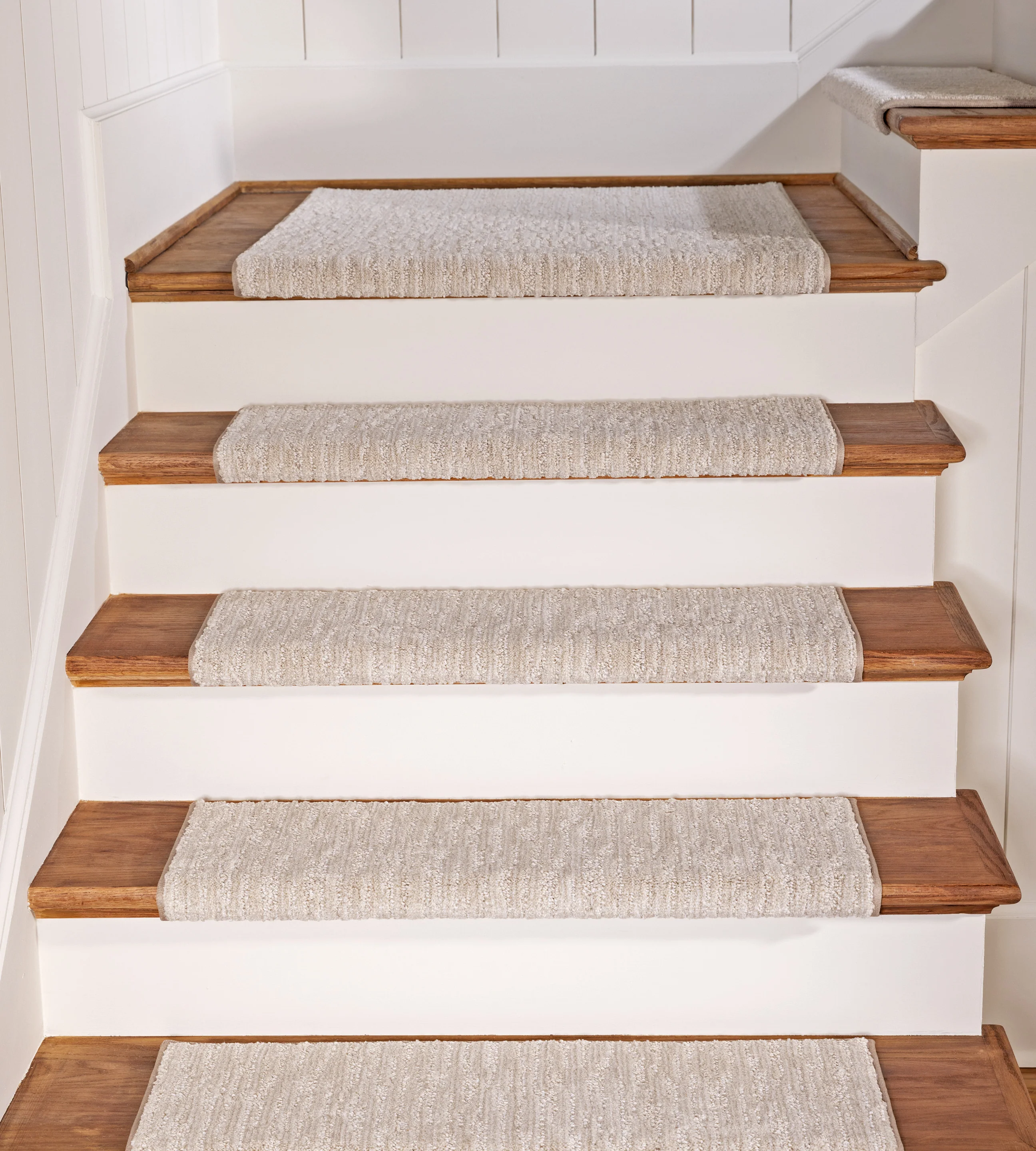 Brindle (Set of 14) - Image 4